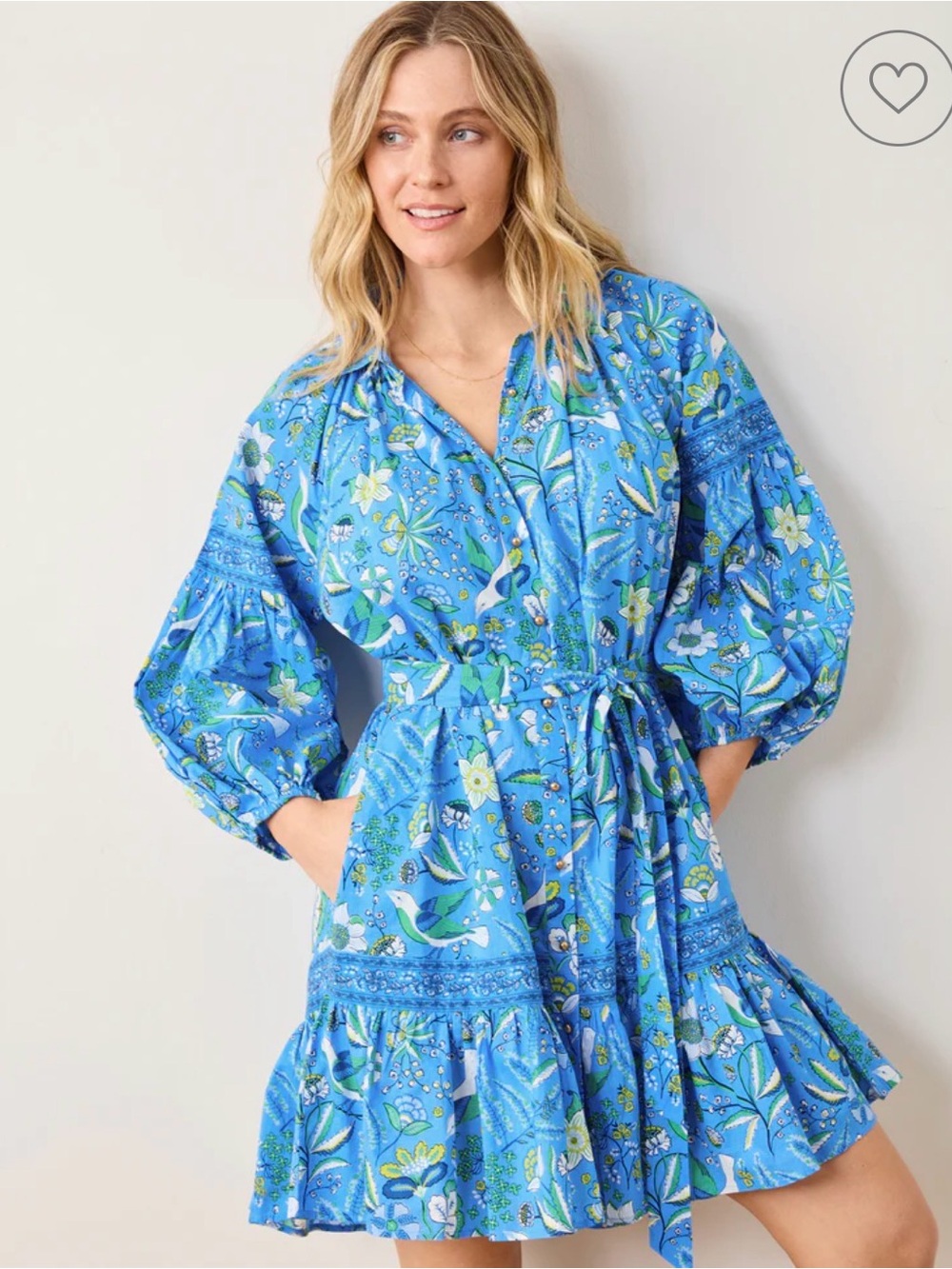 Printfresh Claudia Dress in Painter's Garden; like new condition; 3X - Picture 4 of 7